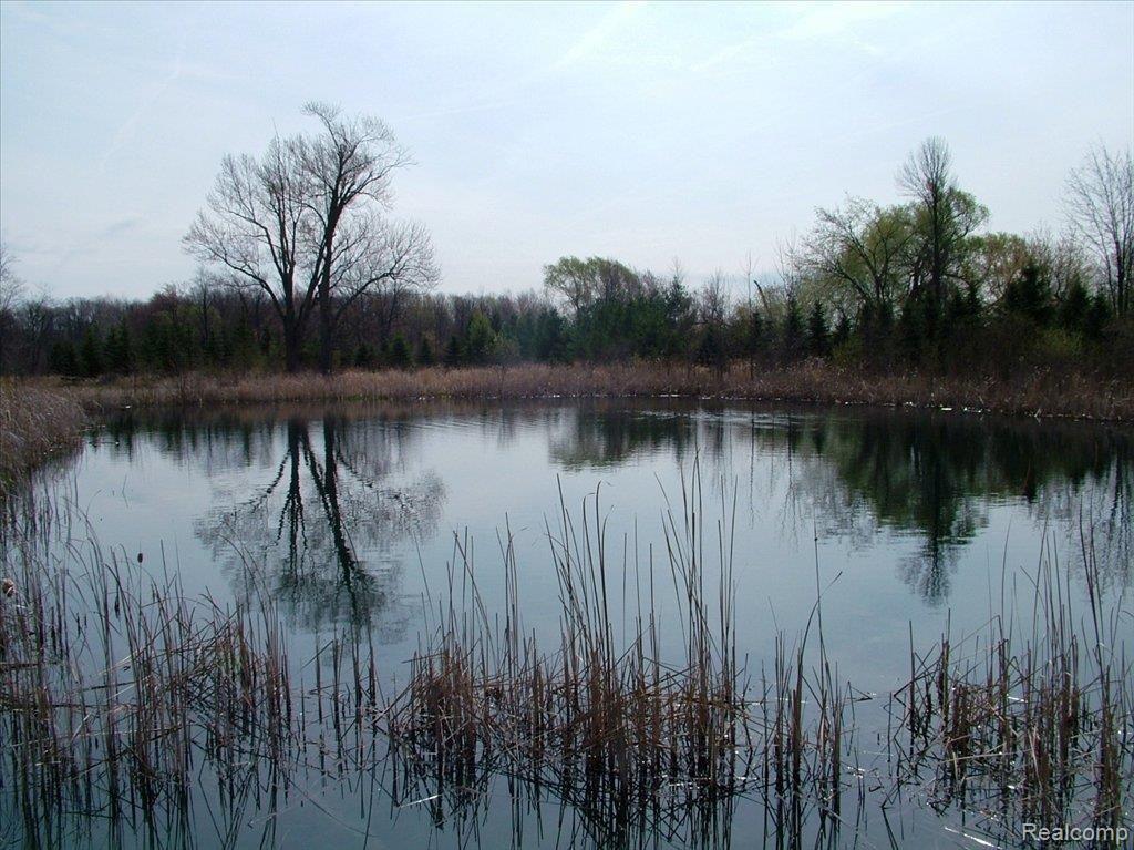 3801 Quain Road Emmett, MI 48022 - Photo 2 of 8 DSCF2240