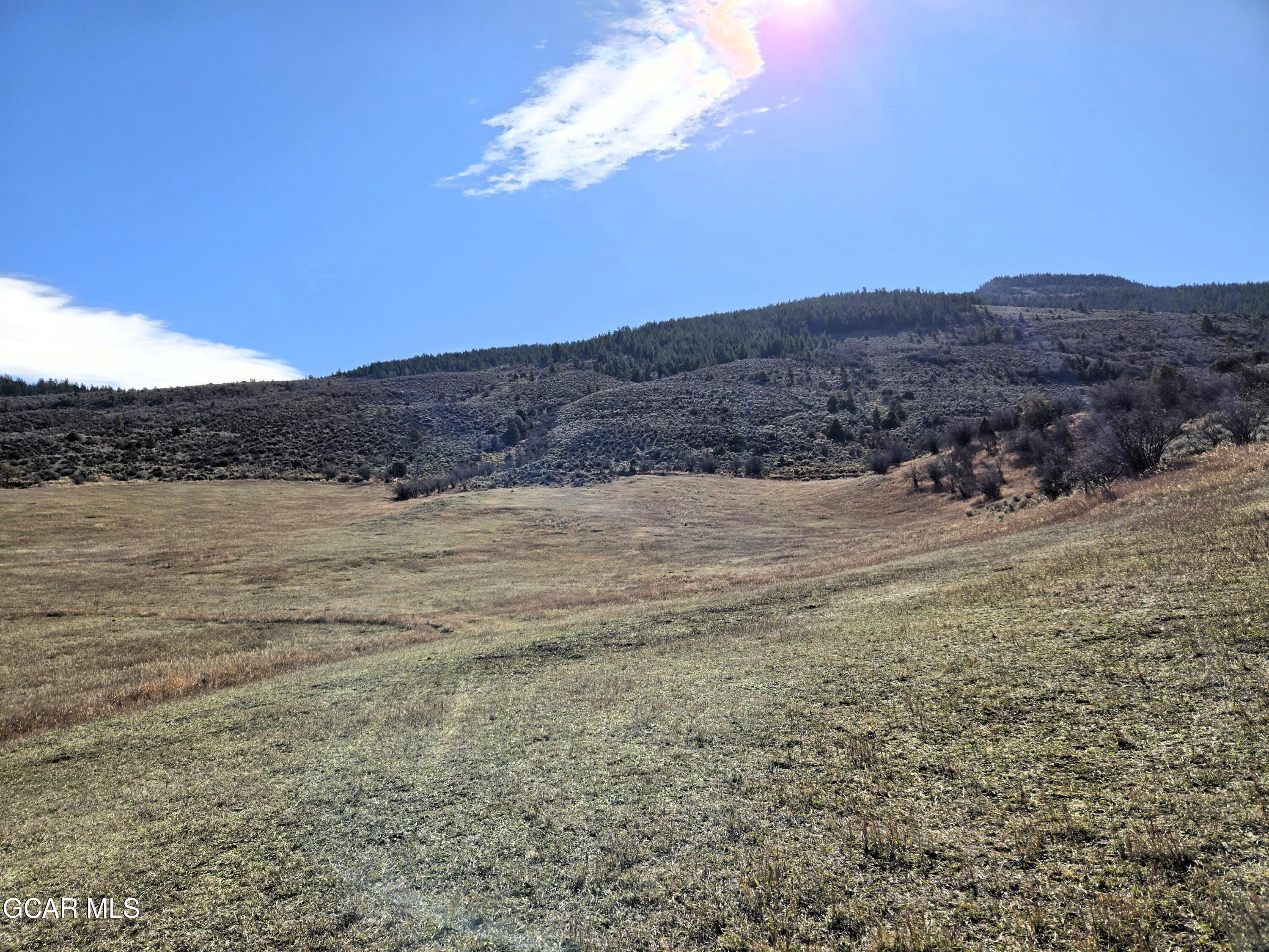 1381 Sheephorn Creek Road Bond, CO 80423 - Photo 33 of 44 20251031_114503