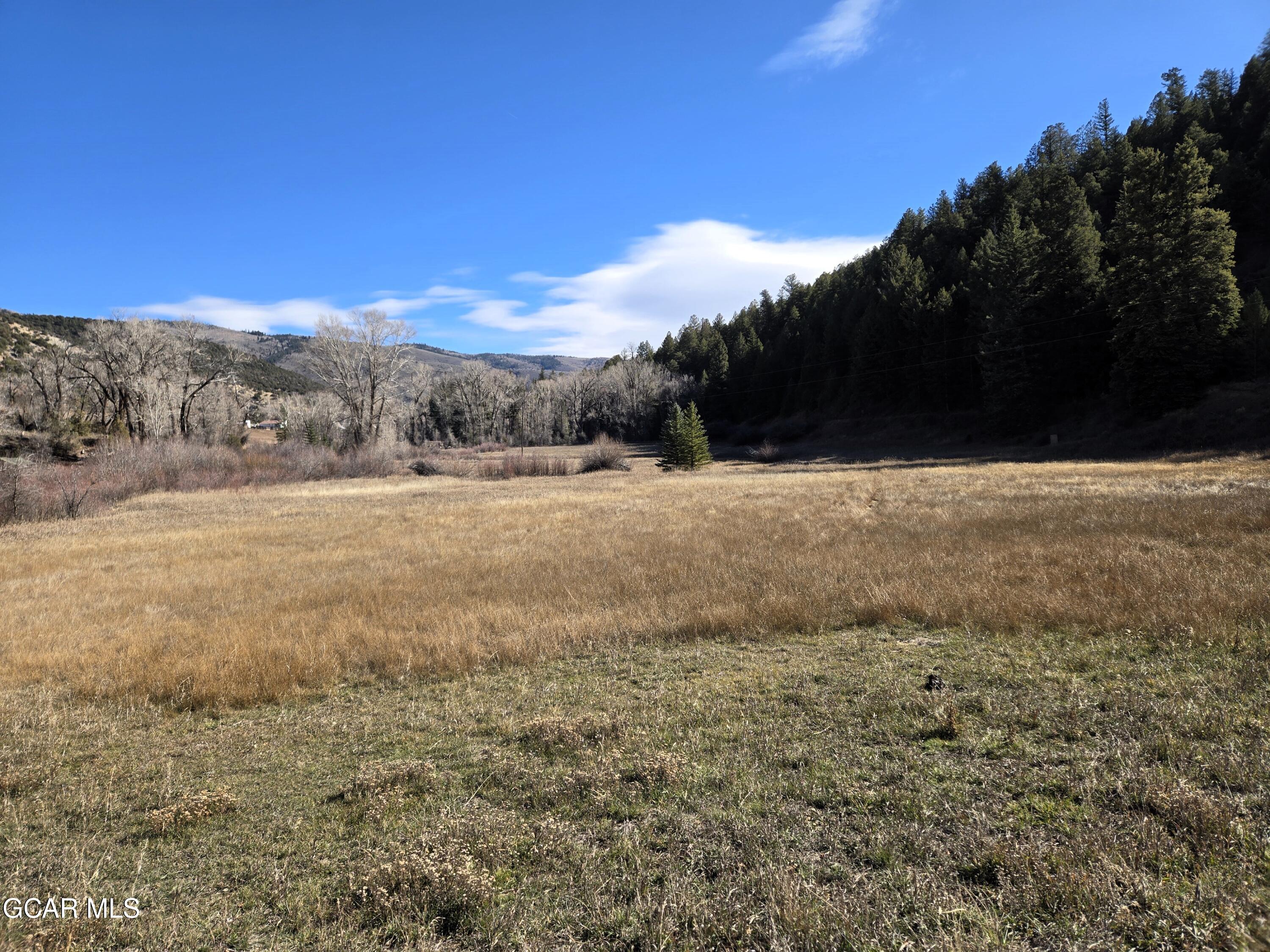 1381 Sheephorn Creek Road Bond, CO 80423 - Photo 39 of 44 20251031_120356