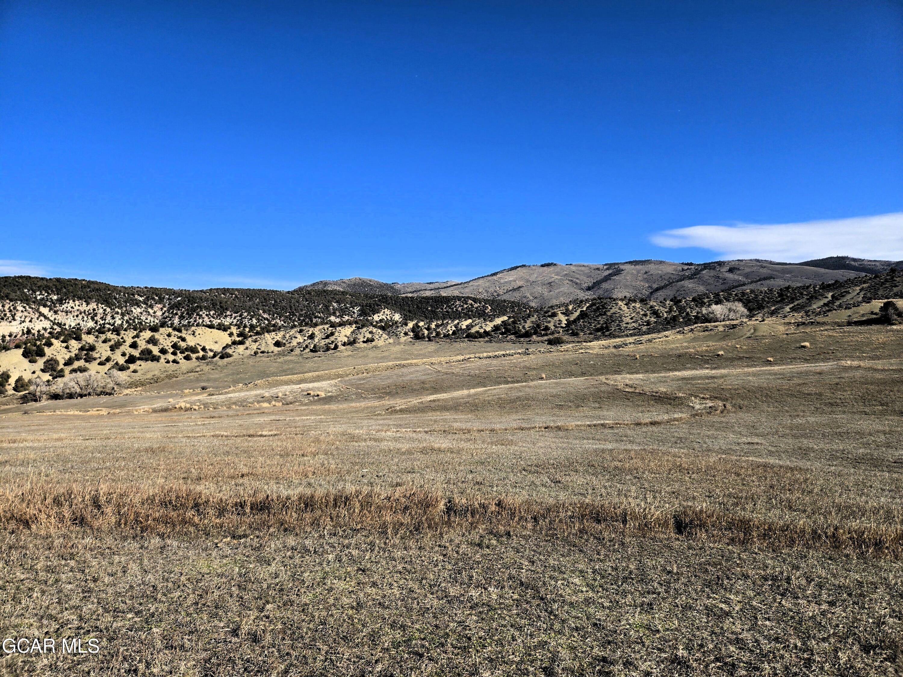 1381 Sheephorn Creek Road Bond, CO 80423 - Photo 9 of 44 20251031_114456