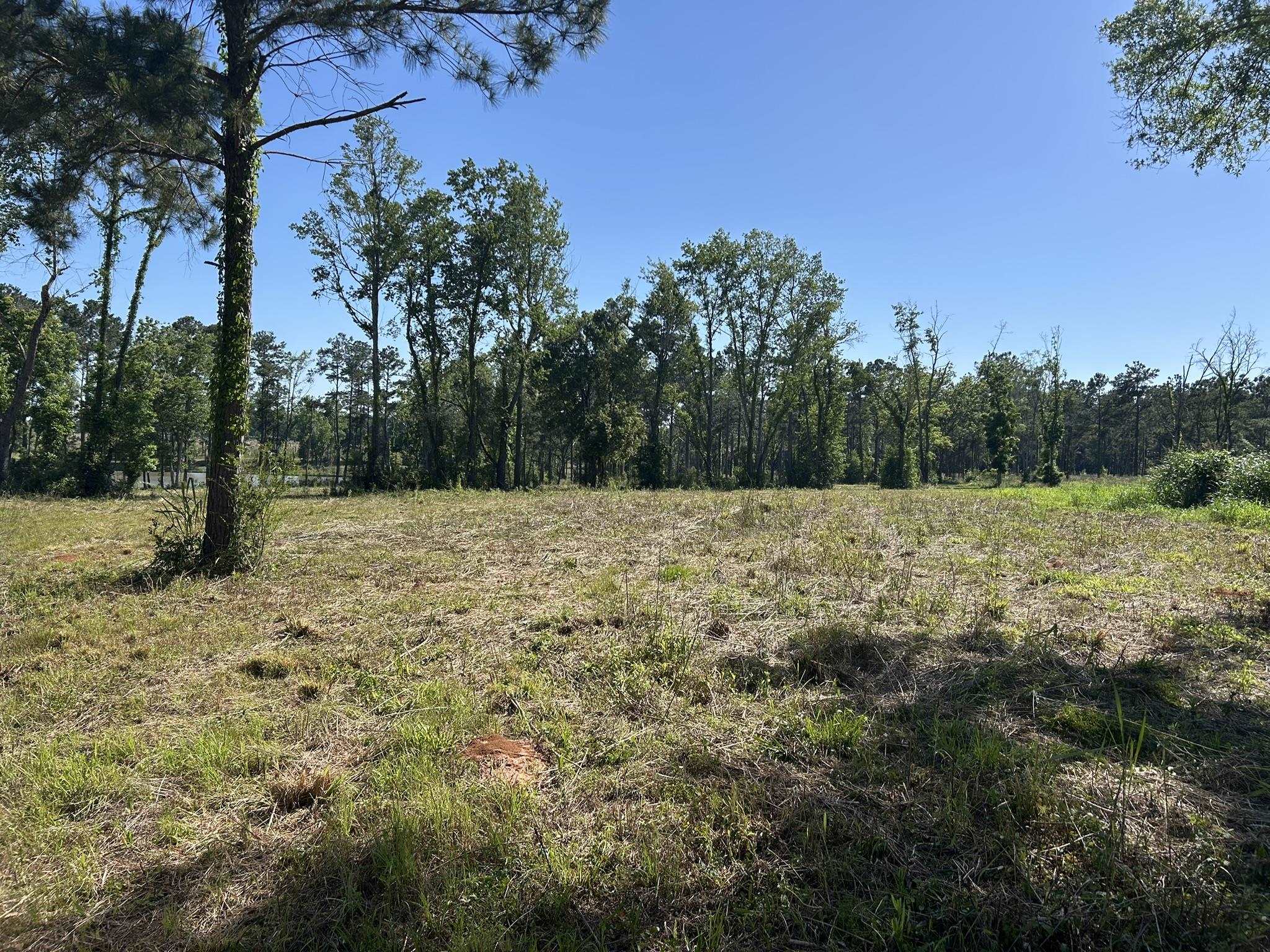 Xxx Ben Bostick Road Quincy, FL 32351 - Photo 16 of 20