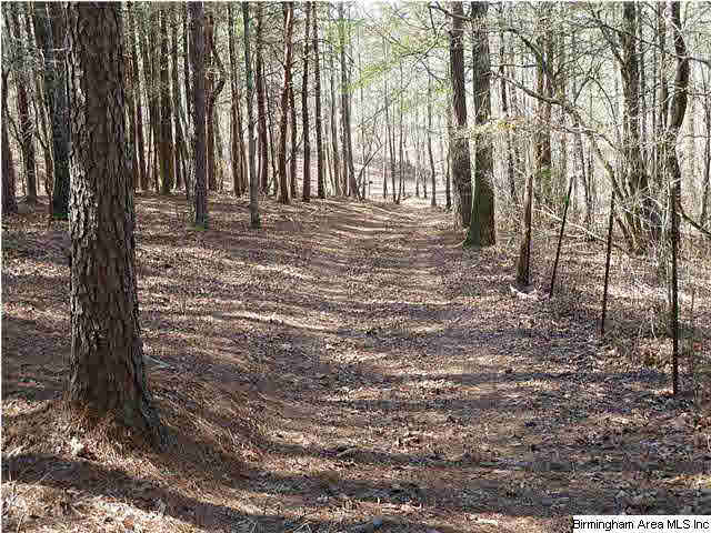 1010 Mooney Road Columbiana, AL 35051 - Photo 17 of 24