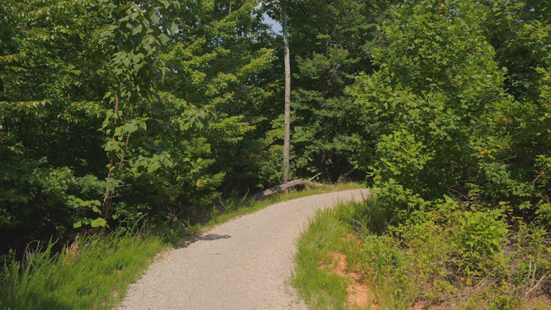 1795 Sawmill Road Ferrum, VA 24088 - Photo 7 of 11 a view of a forest of a house