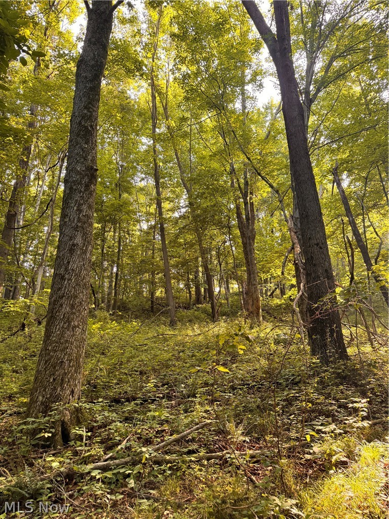 91695 Harrison Road Scio, OH 43988 - Photo 20 of 32 Gallery Image 20