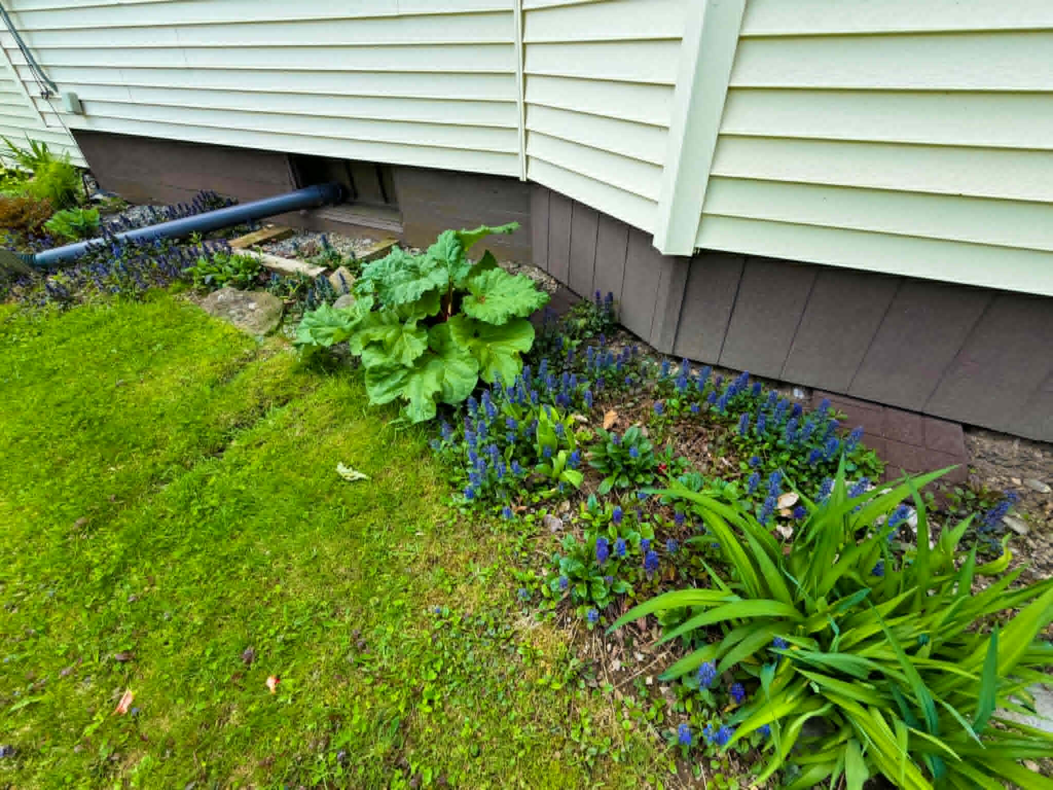 178 Main Road South Hampden, ME 04444 - Photo 51 of 54 50