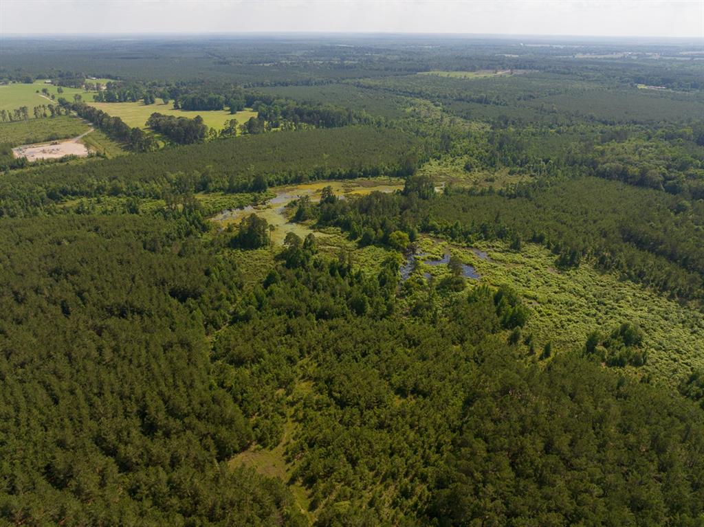 0 Ferguson Road Coushatta, LA 71019 - Photo 10 of 13
