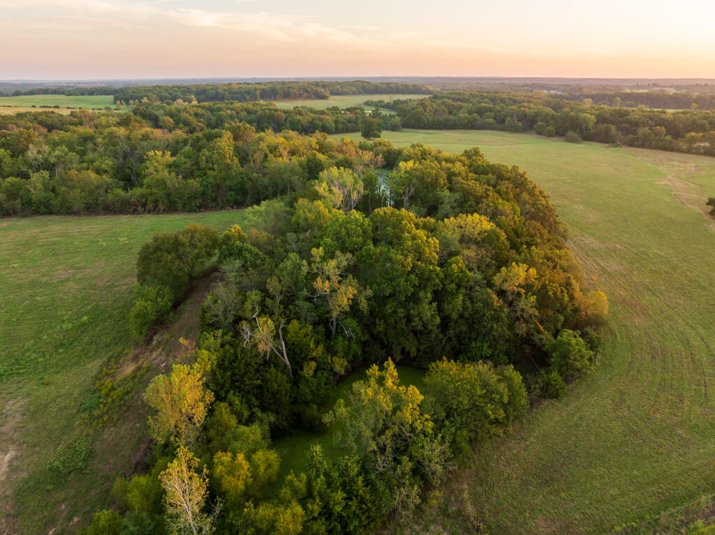 2395 Southwest County Road Hume, MO 64752 - Photo 14 of 81 Bates 50 (MLS)--15
