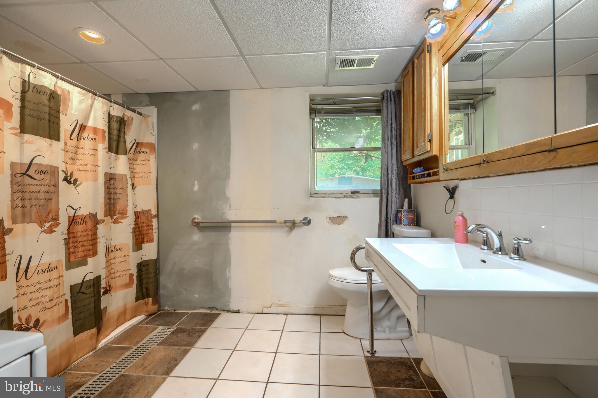3743 Schroeder Avenue Perry Hall, MD 21128 - Photo 47 of 60 a bathroom with a sink a toilet and shower