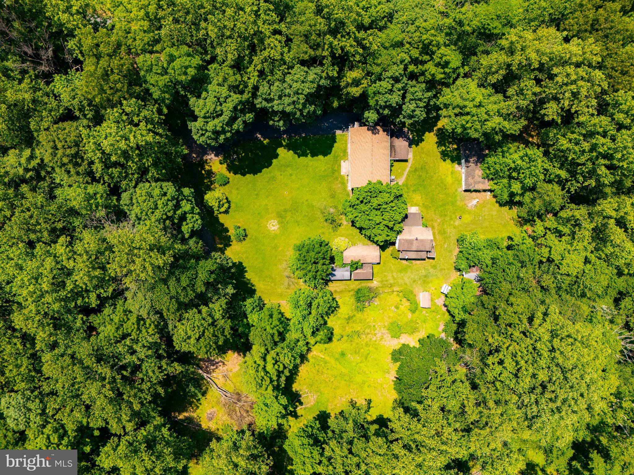 3743 Schroeder Avenue Perry Hall, MD 21128 - Photo 50 of 60 a view of a garden