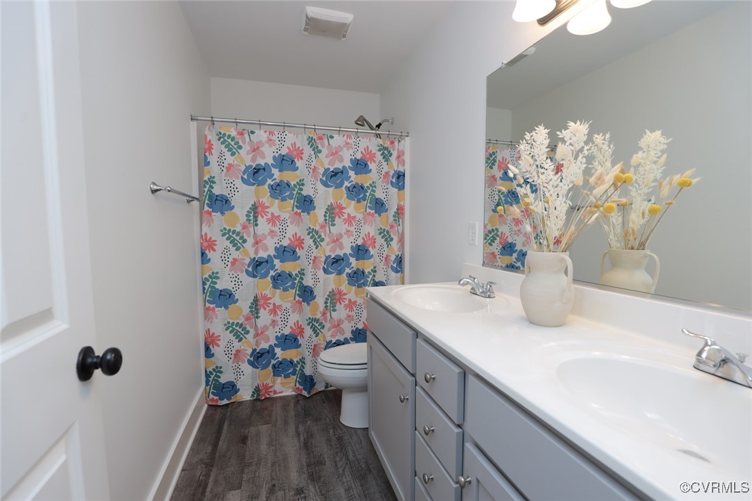 1113 Bradbury Road Moseley, VA 23120 - Photo 24 of 43 a bathroom with a sink a vanity and a mirror