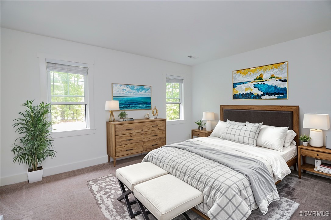 1113 Bradbury Road Moseley, VA 23120 - Photo 27 of 43 a bedroom with a bed and a flat screen television