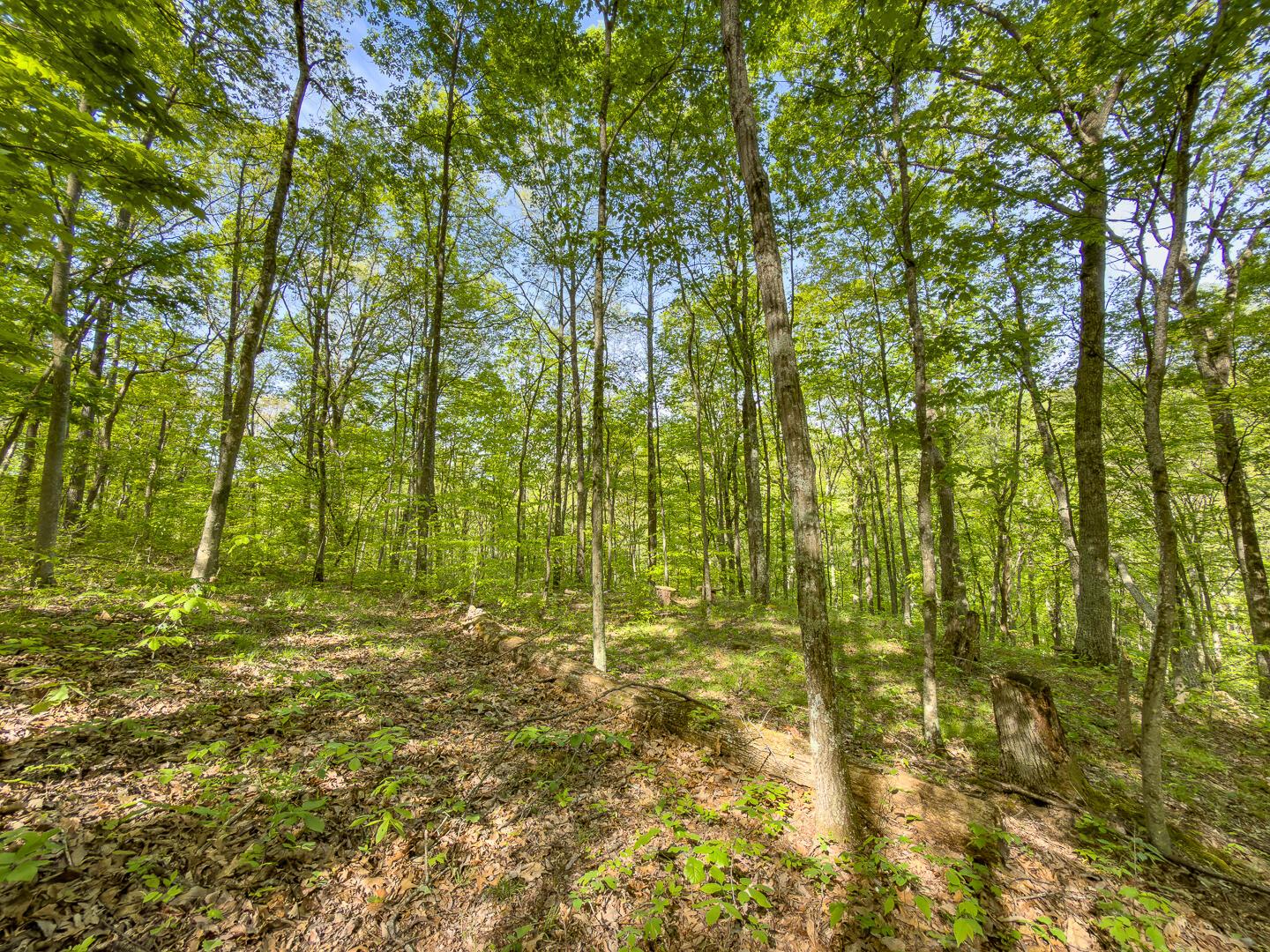 2 Perry Ridge Road Wilkesville, OH 45695 - Photo 19 of 27 Perry Ridge Rd Tract 2-11