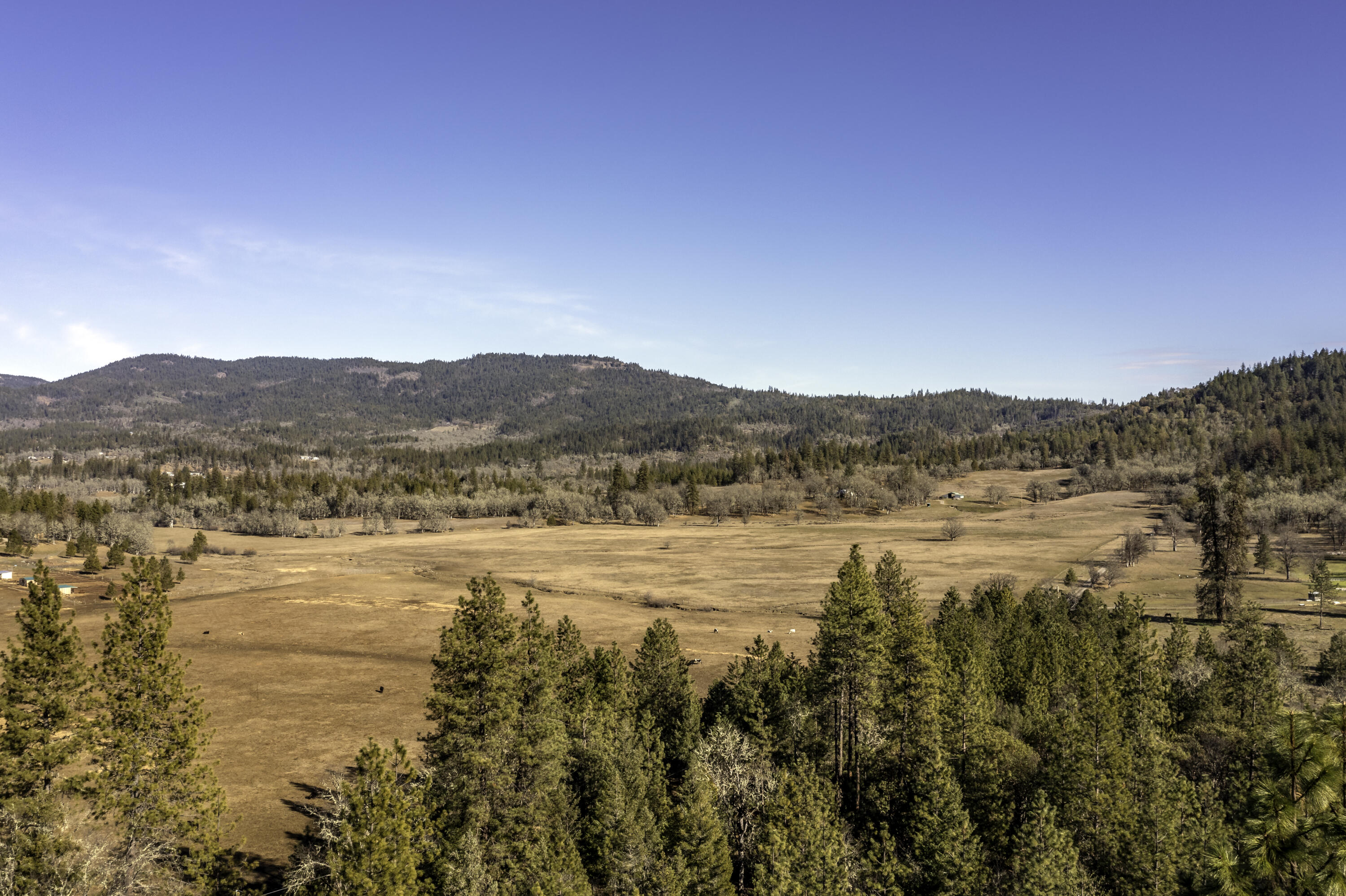 16575 Meadows Road White City, OR 97503 - Photo 44 of 46 DJI_0317