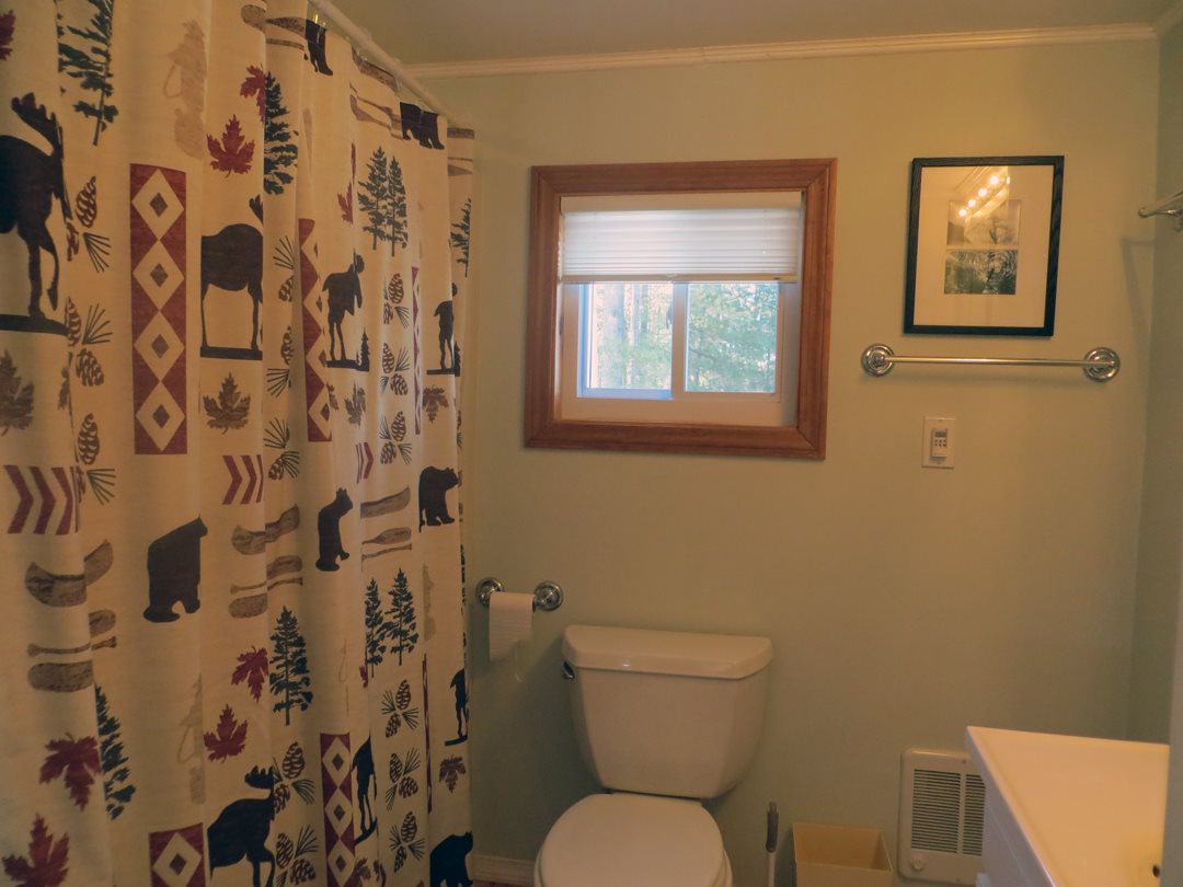 196 Gardners Grove Road Belmont, NH 03220 - Photo 17 of 40