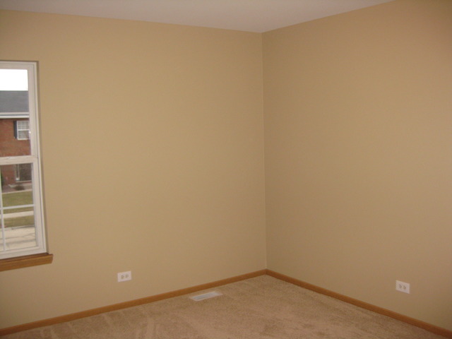 135 Treehouse Road Matteson, IL 60443 - Photo 11 of 21 an empty room with a window