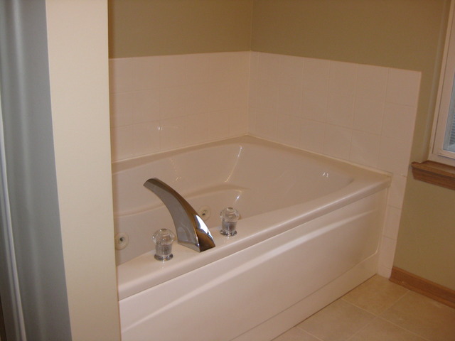 135 Treehouse Road Matteson, IL 60443 - Photo 13 of 21 a close up view of a sink