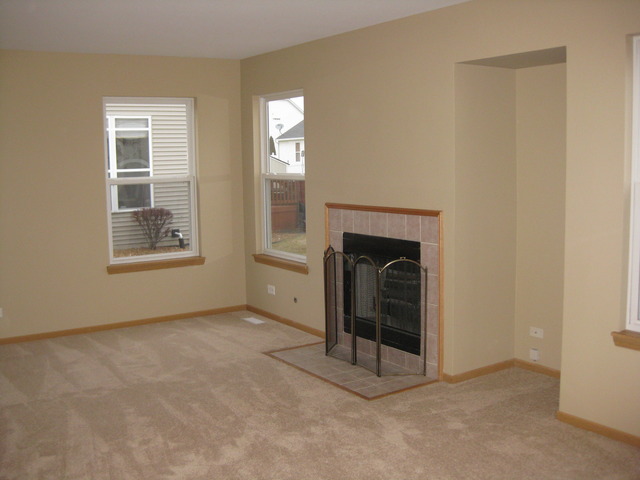 135 Treehouse Road Matteson, IL 60443 - Photo 6 of 21 a view of an empty room with window and fire place