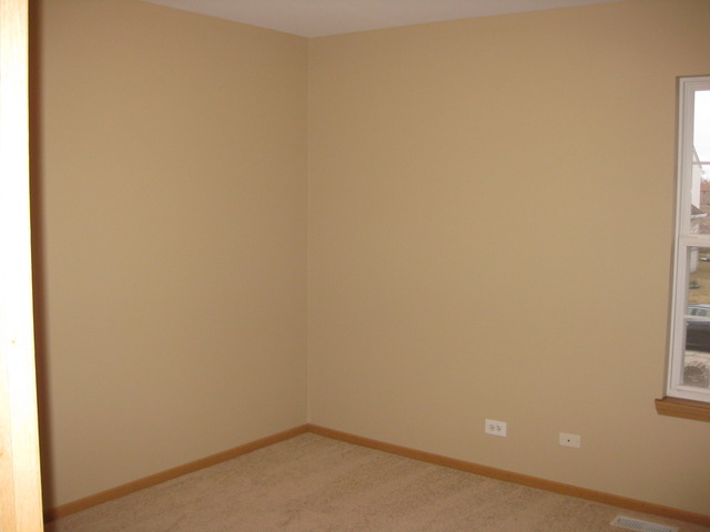 135 Treehouse Road Matteson, IL 60443 - Photo 10 of 21 close up of a white marble wall