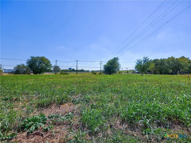 a backyard with a garden and trees
