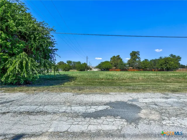a view of a yard with a tree