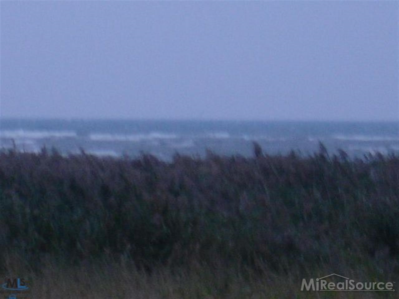 0 Rapson Road Bad Axe, MI 48413 - Photo 4 of 10