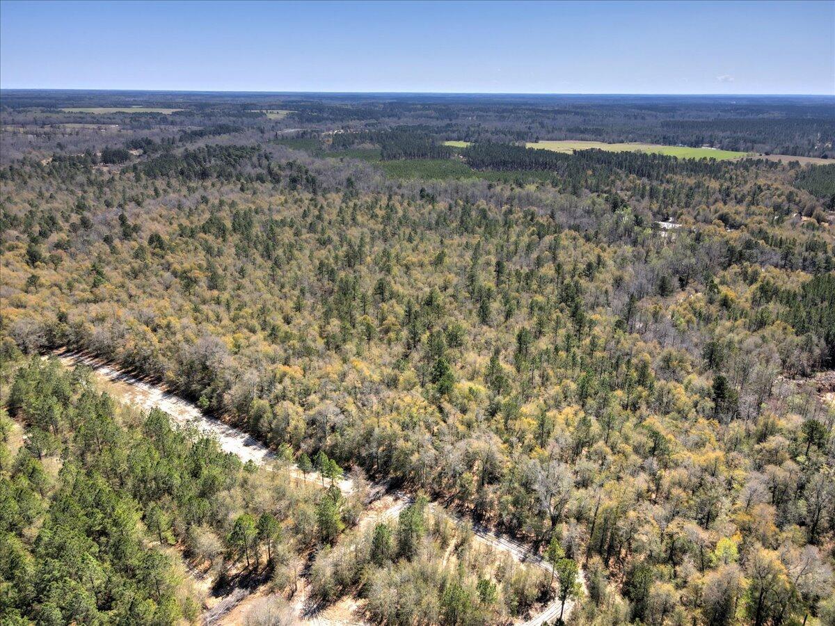 40.07-acre Tanglewood Road Williston, SC 29853 - Photo 2 of 9
