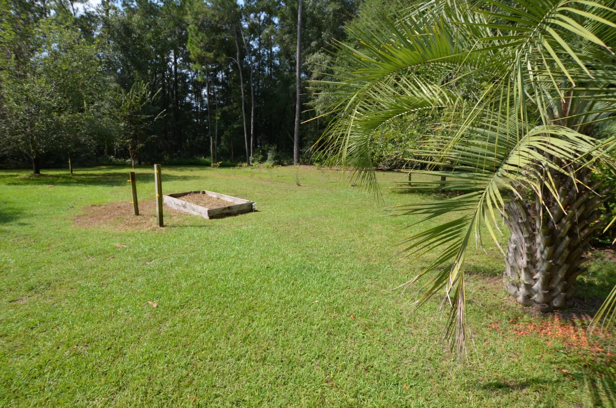 243 Old Cemetary Road Jamestown, SC 29453 - Photo 23 of 30 DSC_0621