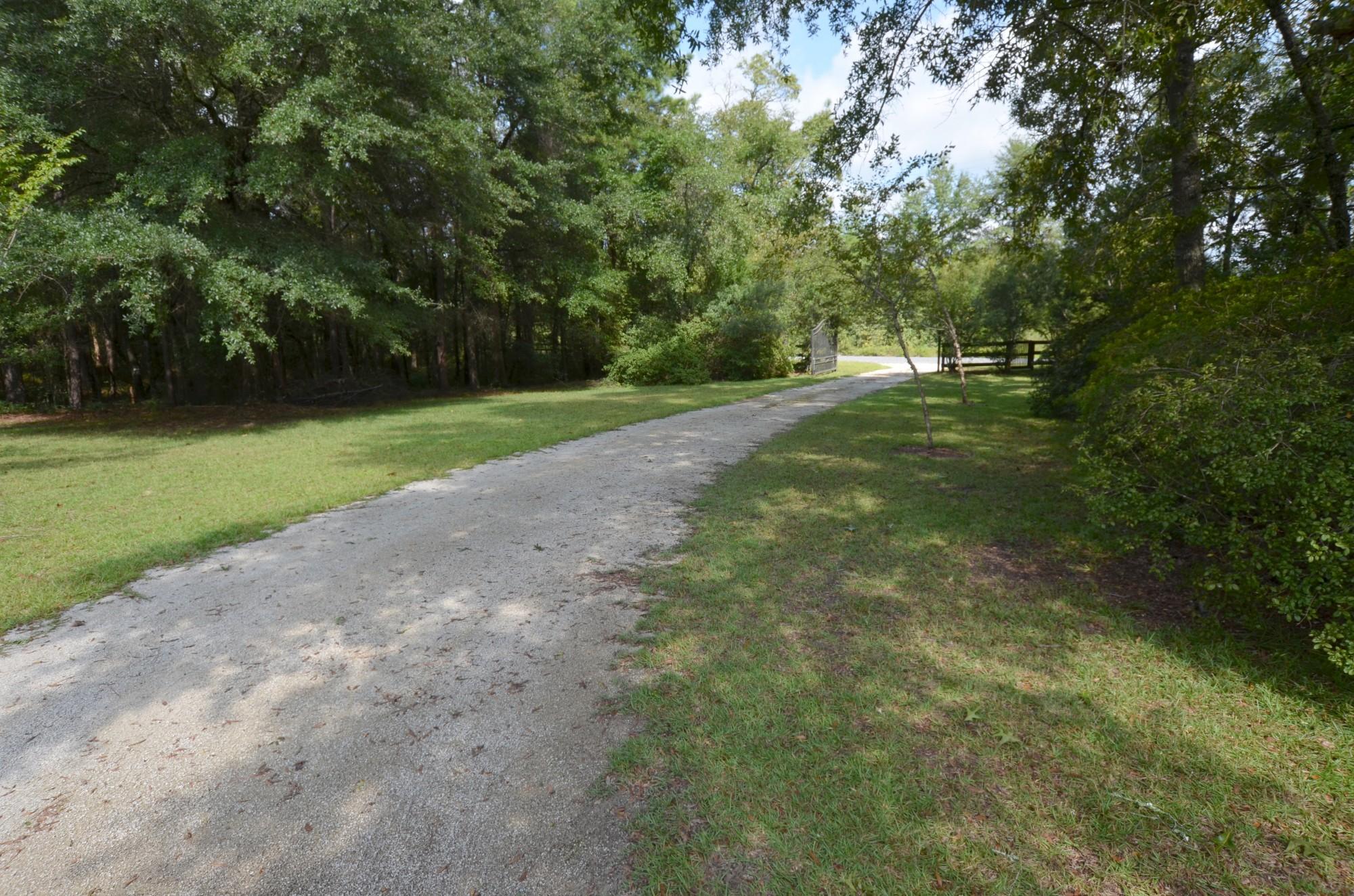 243 Old Cemetary Road Jamestown, SC 29453 - Photo 30 of 30 DSC_0616