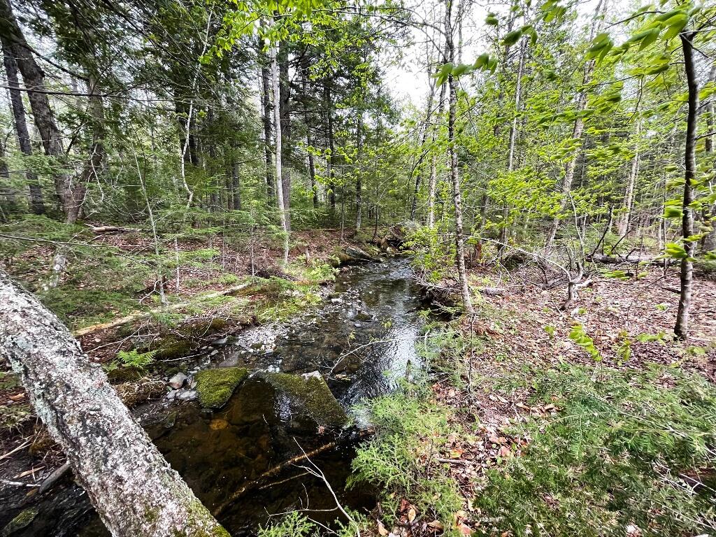 Lot #7 Hammond Brook Road Monson, ME 04464 - Photo 13 of 16
