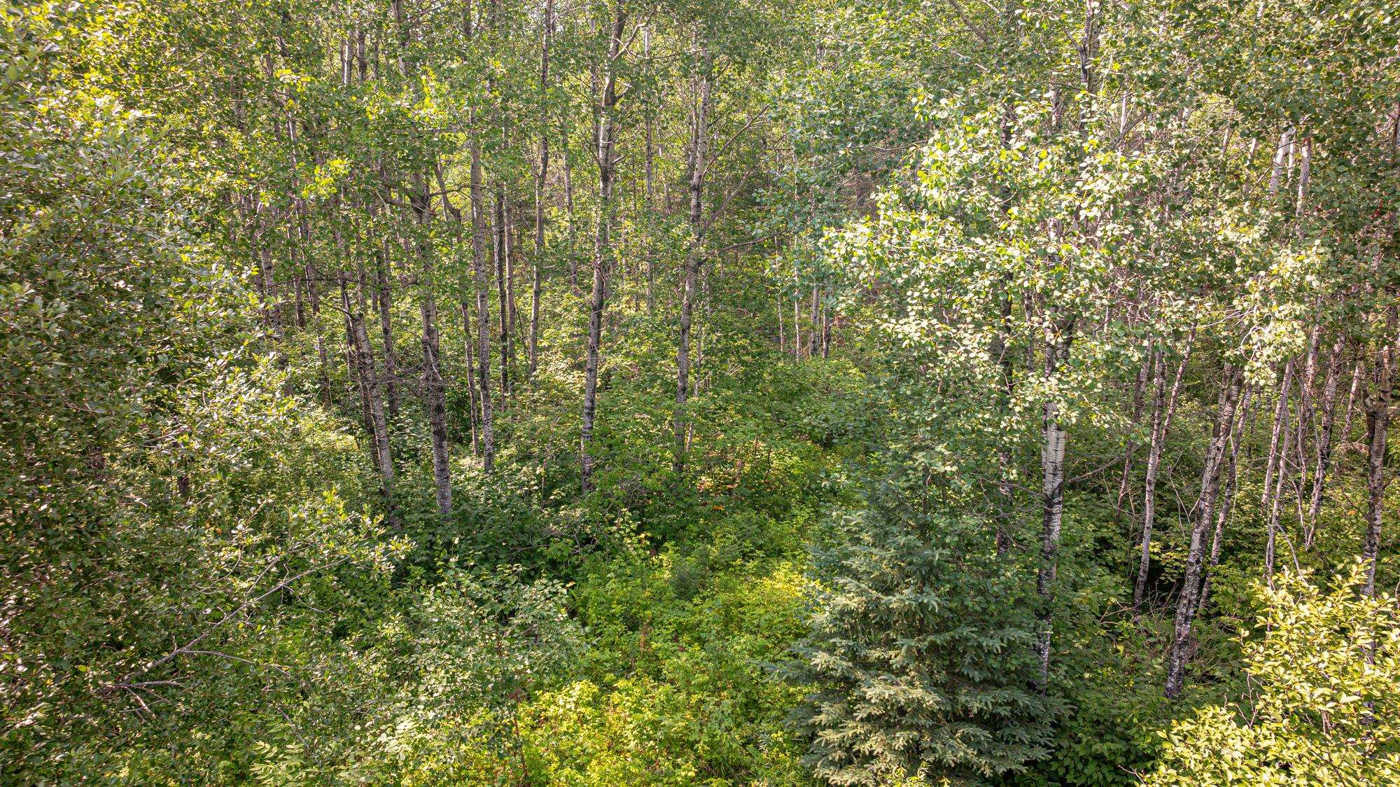 Tbd Tbd Souja Road Ely, MN 55731 - Photo 11 of 38