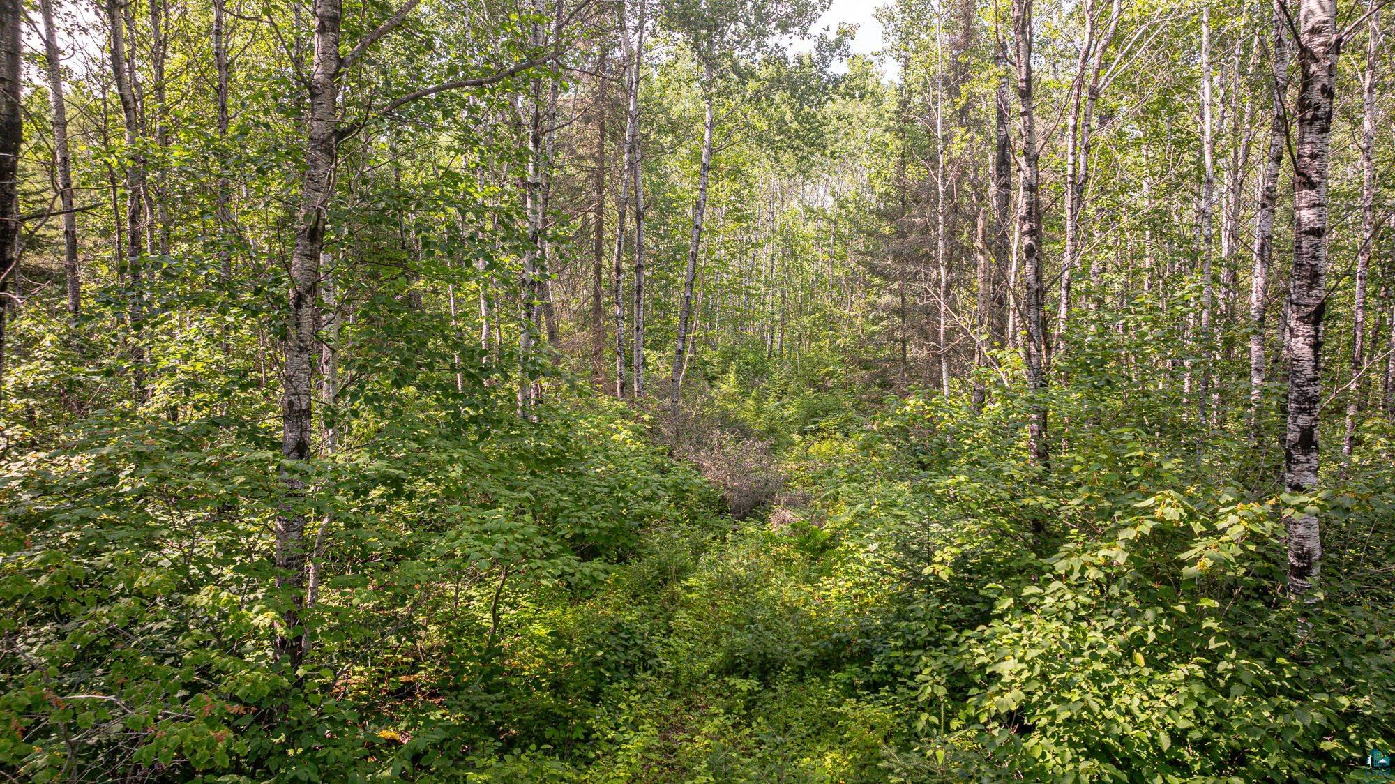Tbd Tbd Souja Road Ely, MN 55731 - Photo 13 of 38