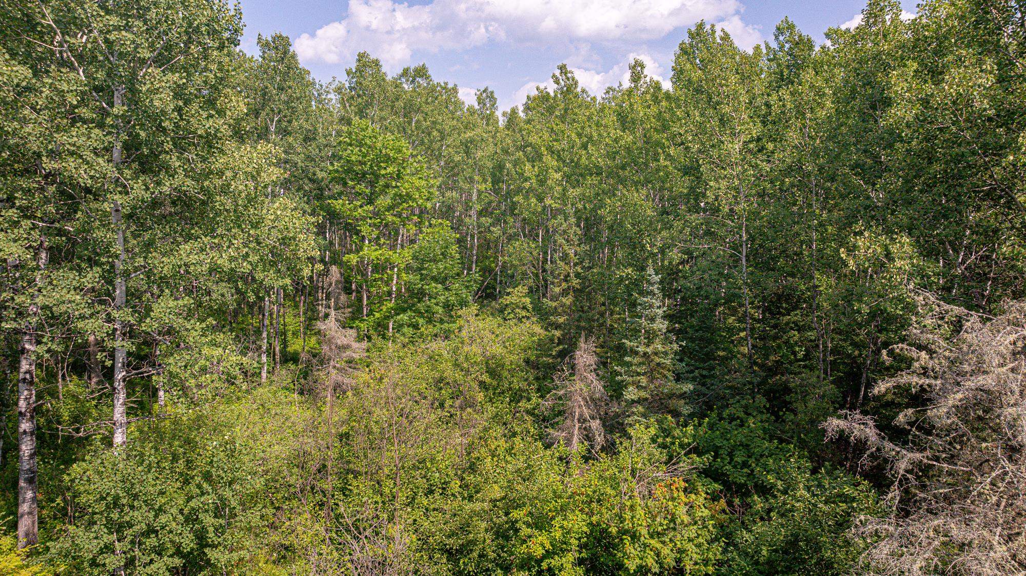 Tbd Tbd Souja Road Ely, MN 55731 - Photo 14 of 38