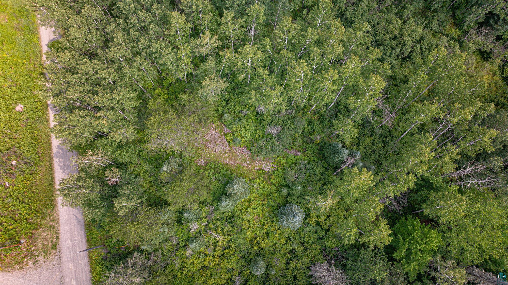 Tbd Tbd Souja Road Ely, MN 55731 - Photo 19 of 38