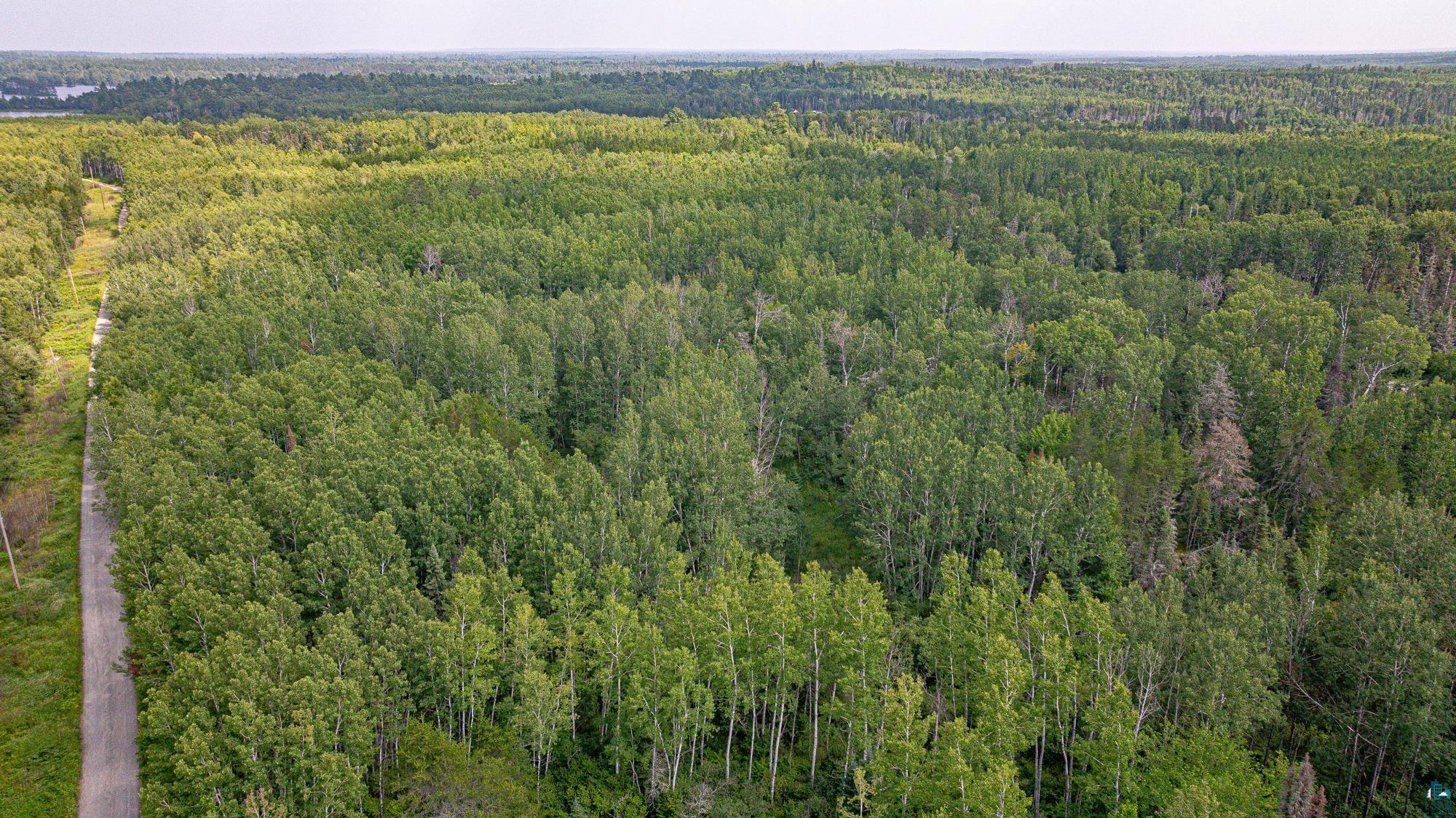 Tbd Tbd Souja Road Ely, MN 55731 - Photo 20 of 38