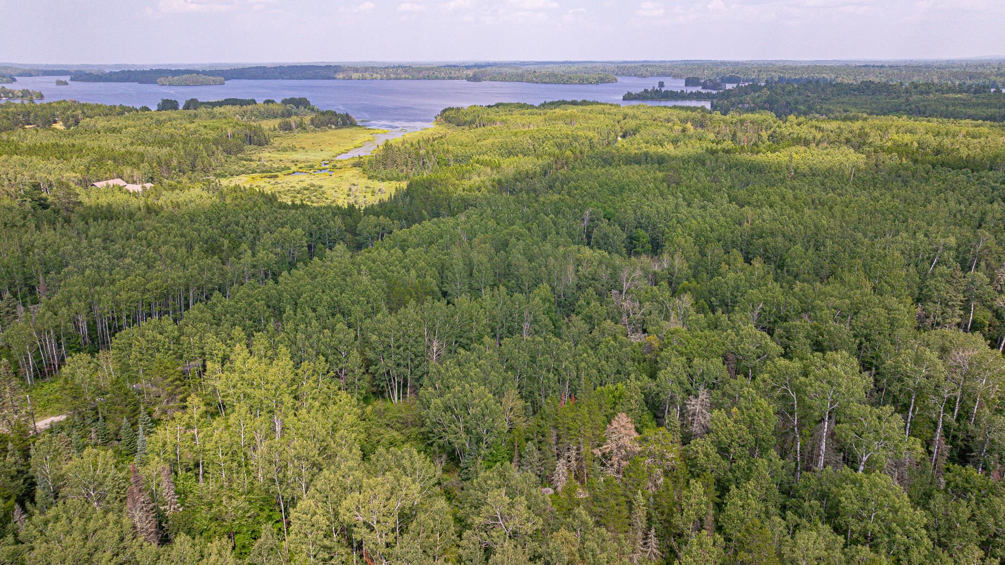 Tbd Tbd Souja Road Ely, MN 55731 - Photo 21 of 38