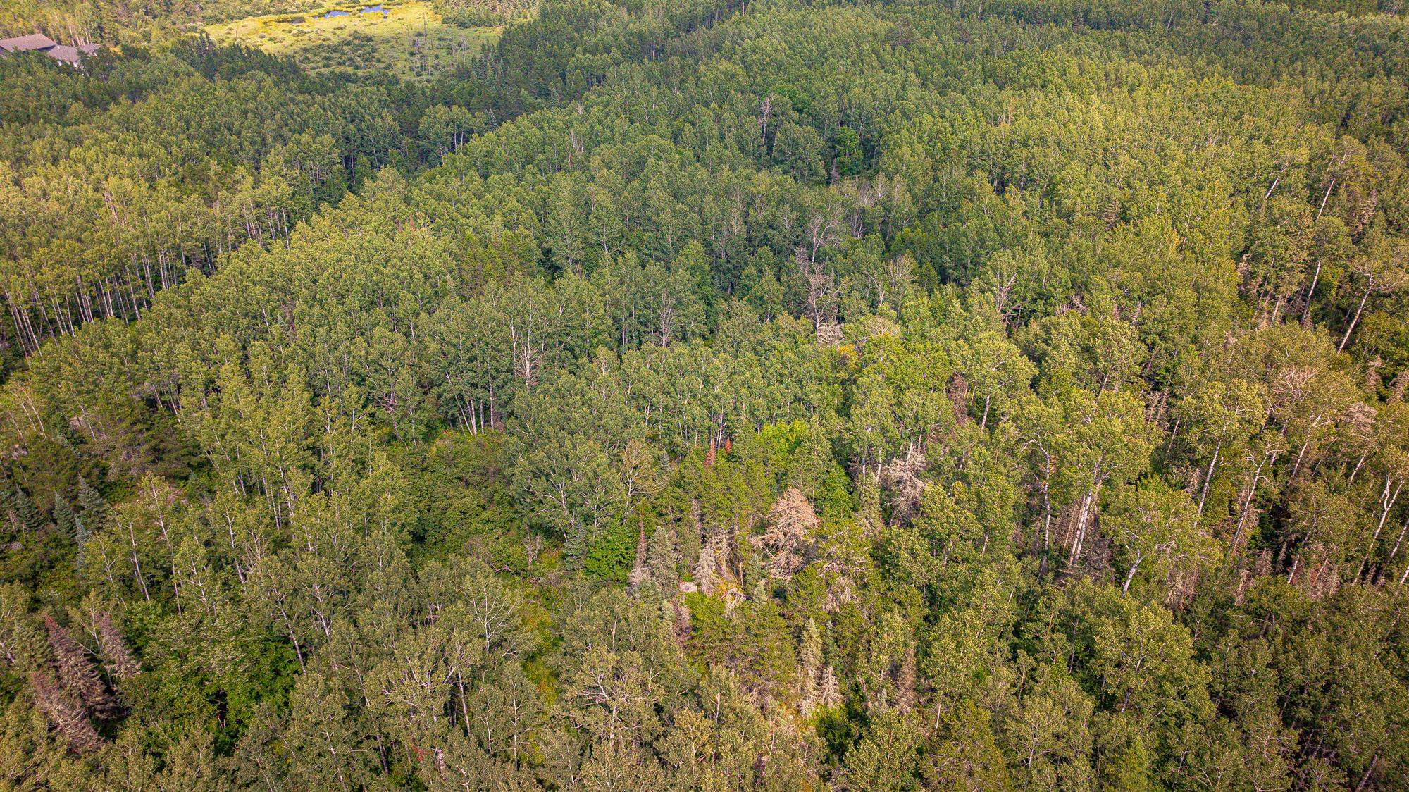 Tbd Tbd Souja Road Ely, MN 55731 - Photo 22 of 38