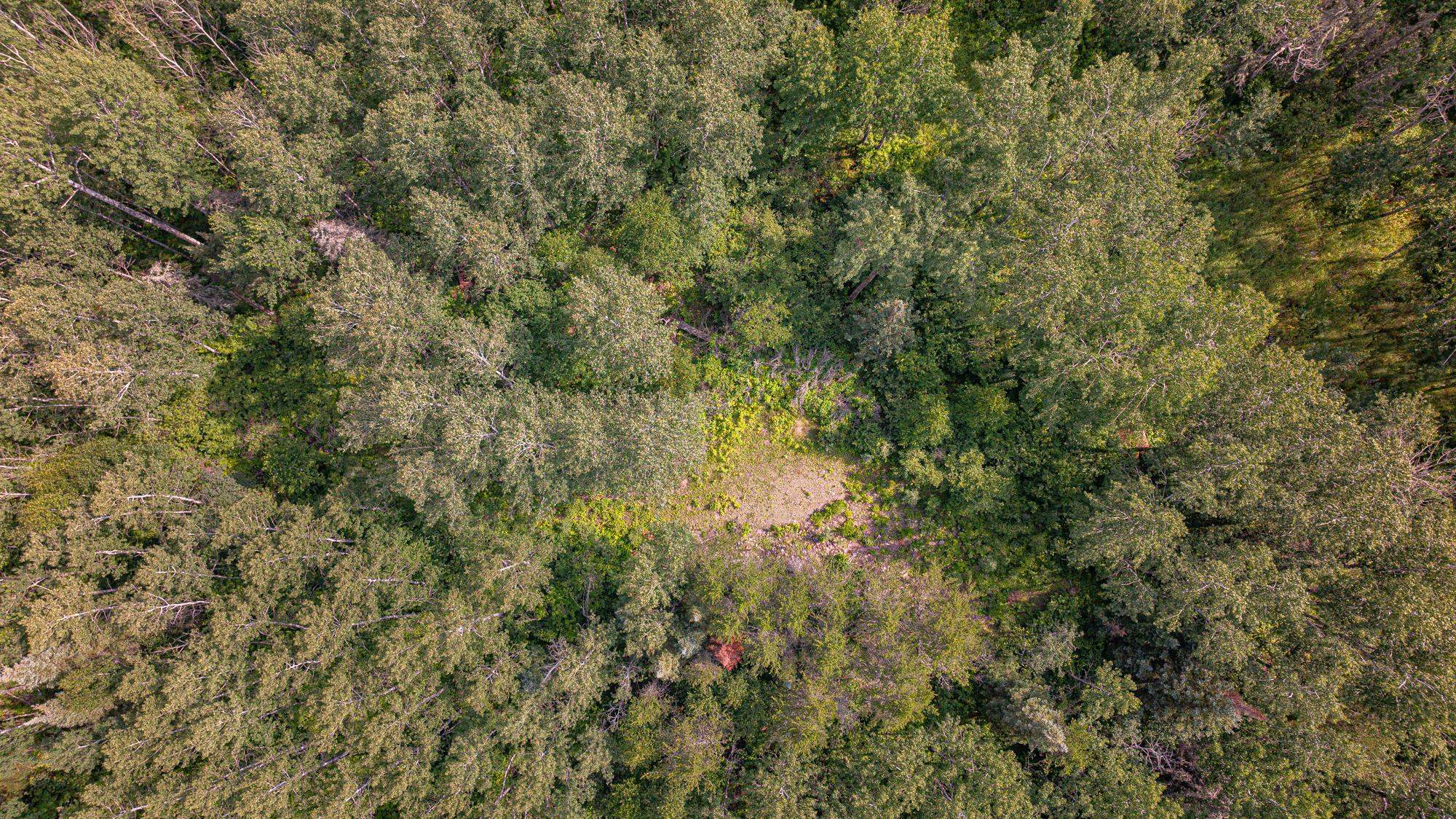 Tbd Tbd Souja Road Ely, MN 55731 - Photo 25 of 38