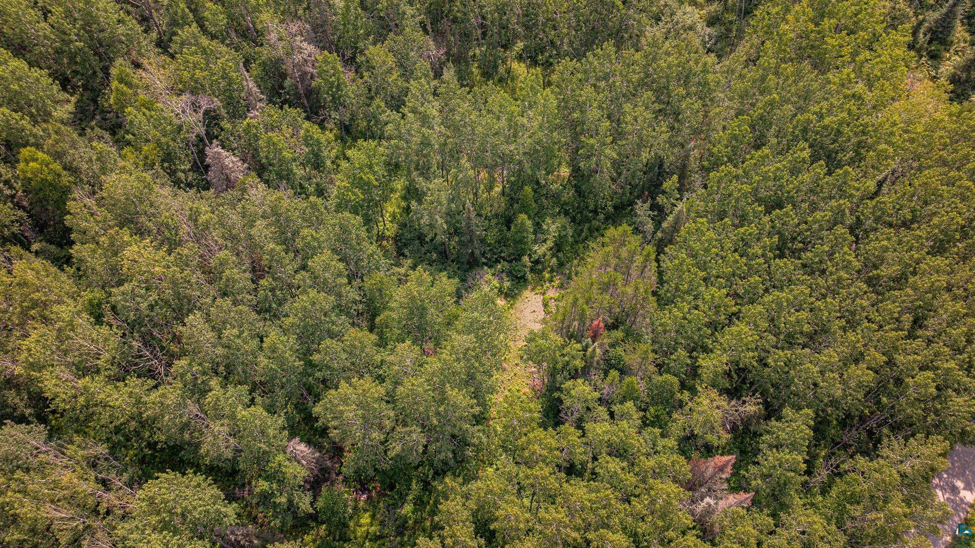 Tbd Tbd Souja Road Ely, MN 55731 - Photo 26 of 38