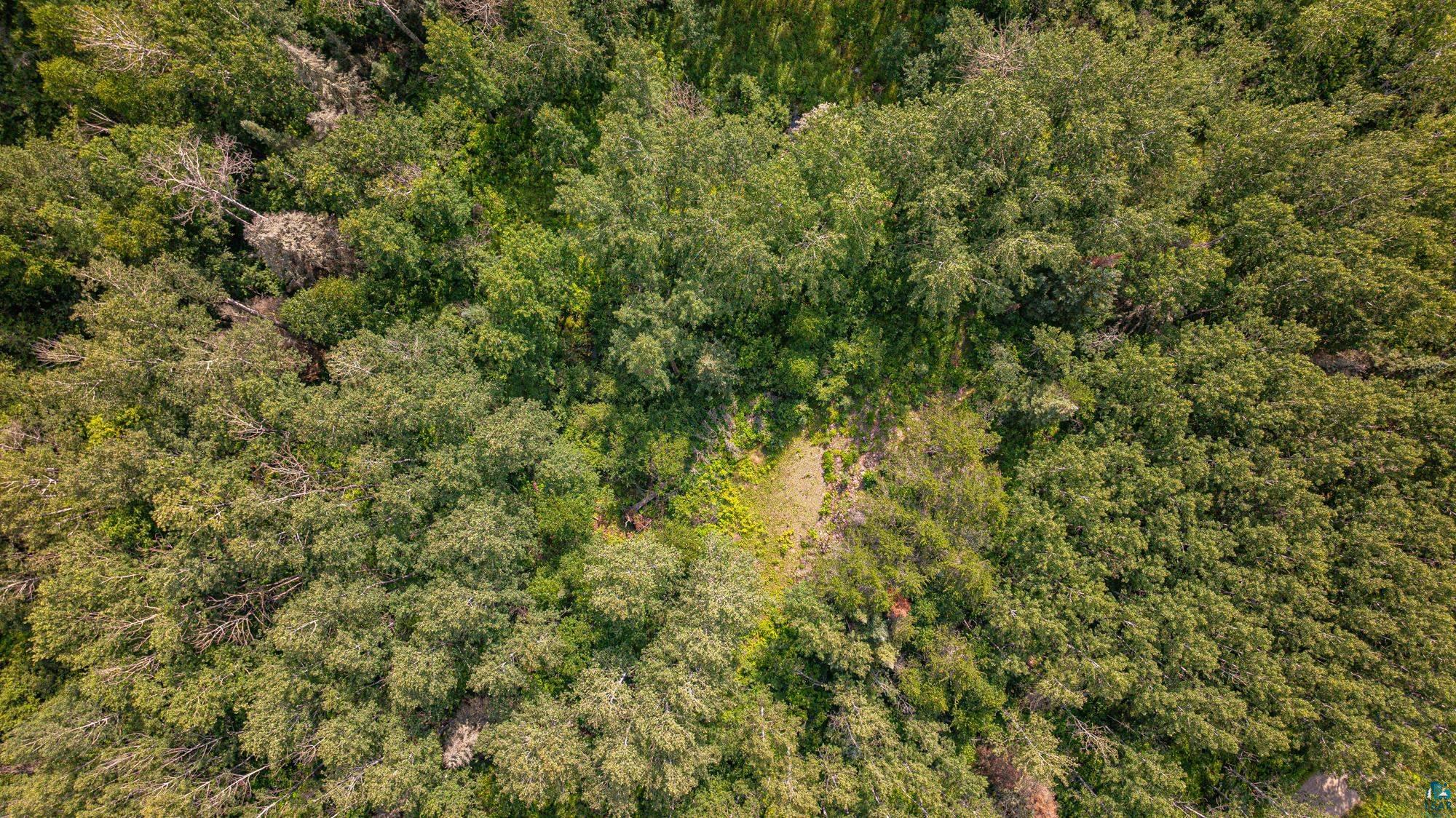 Tbd Tbd Souja Road Ely, MN 55731 - Photo 27 of 38