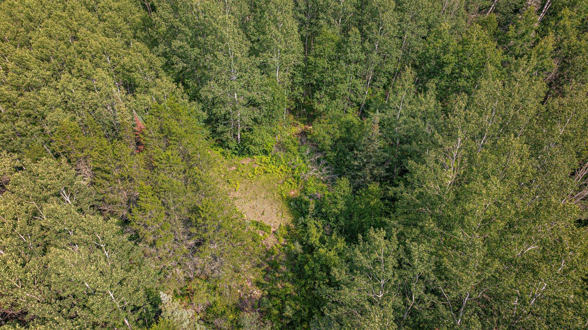 Tbd Tbd Souja Road Ely, MN 55731 - Photo 28 of 38