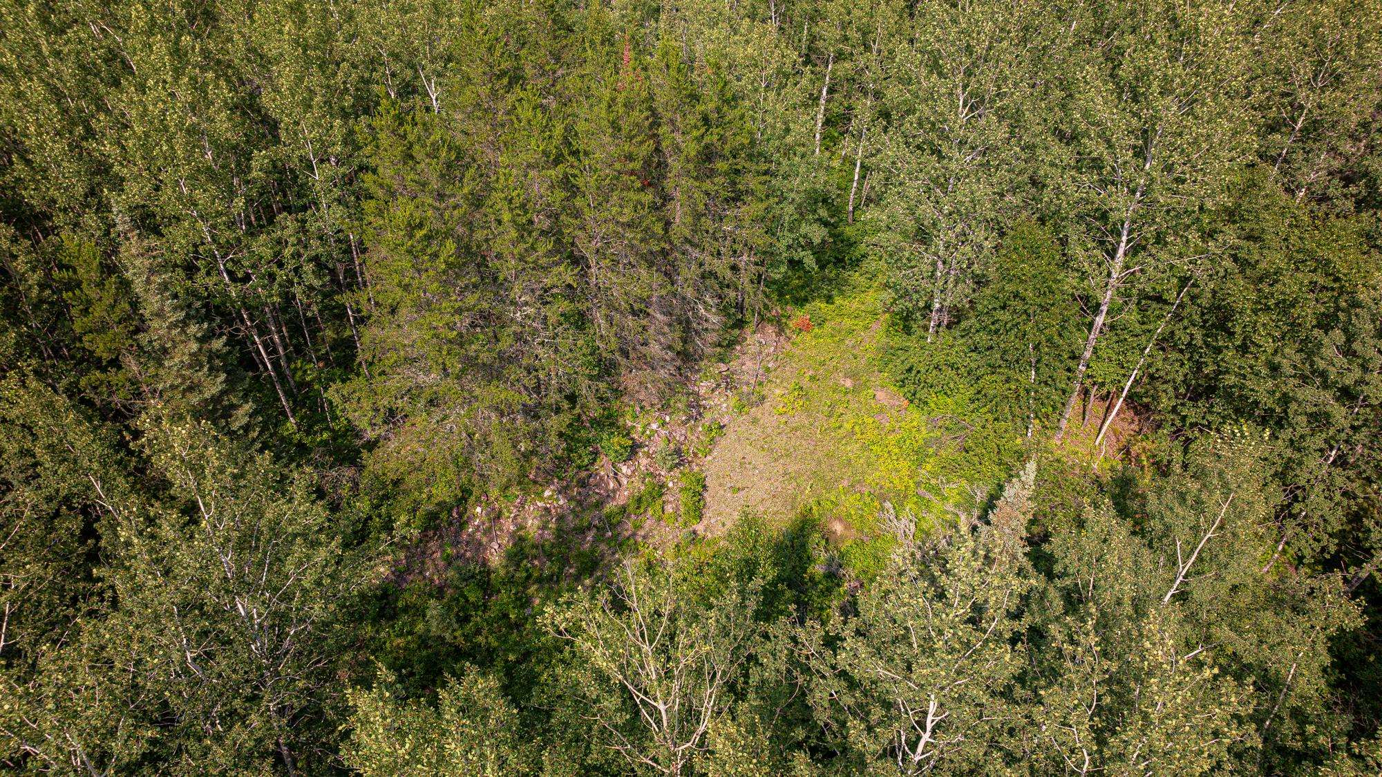 Tbd Tbd Souja Road Ely, MN 55731 - Photo 29 of 38