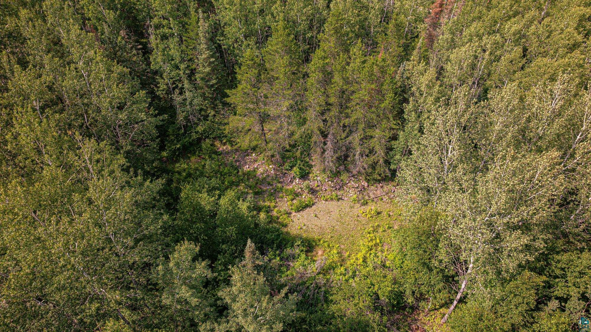 Tbd Tbd Souja Road Ely, MN 55731 - Photo 30 of 38