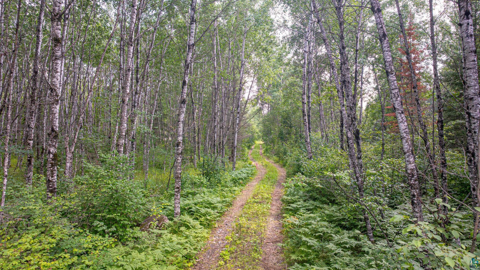 Tbd Tbd Souja Road Ely, MN 55731 - Photo 3 of 38