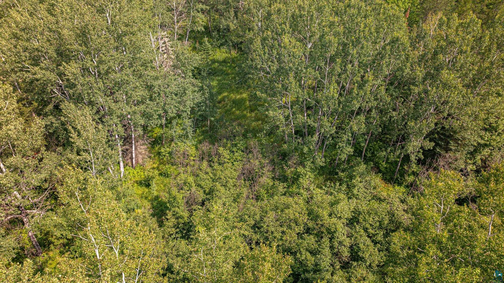 Tbd Tbd Souja Road Ely, MN 55731 - Photo 32 of 38