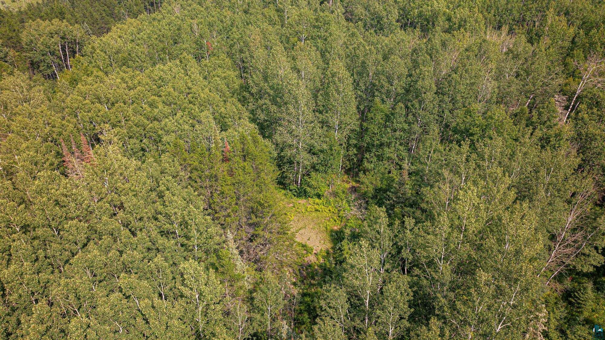 Tbd Tbd Souja Road Ely, MN 55731 - Photo 33 of 38