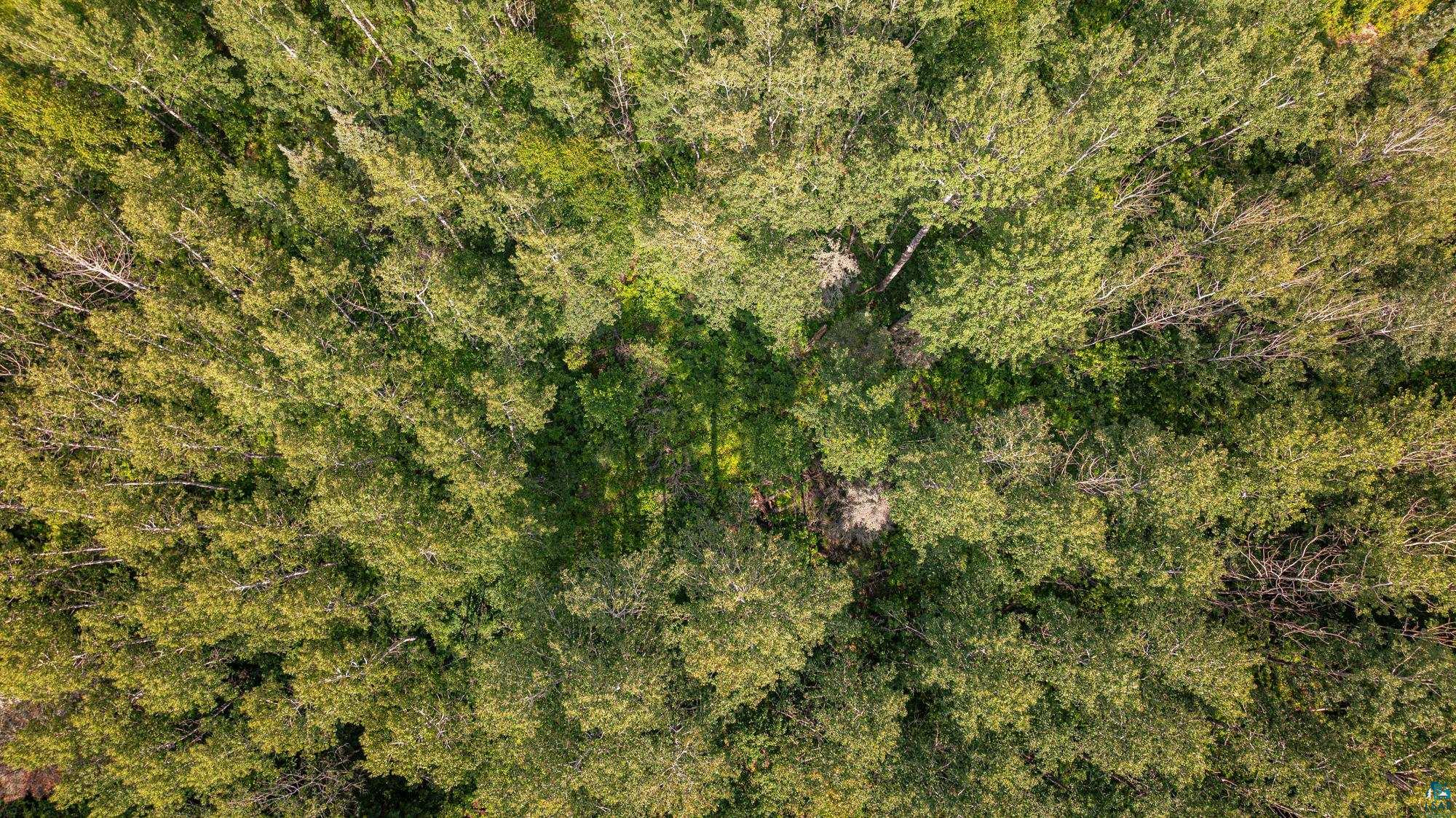 Tbd Tbd Souja Road Ely, MN 55731 - Photo 34 of 38