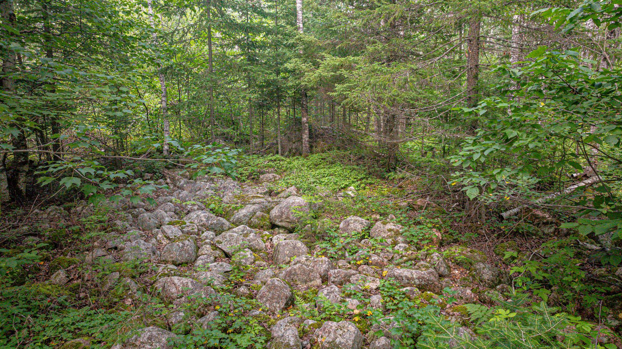 Tbd Tbd Souja Road Ely, MN 55731 - Photo 38 of 38