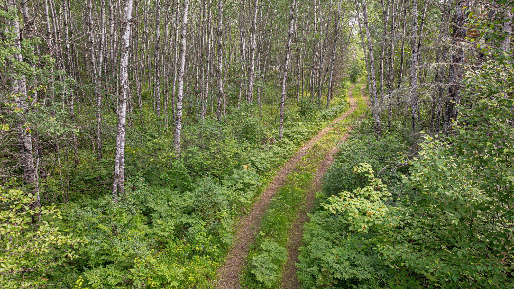 Tbd Tbd Souja Road Ely, MN 55731 - Photo 4 of 38