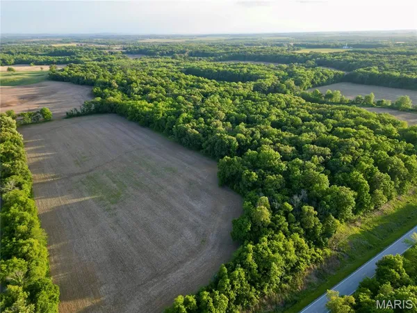 $600,000 | 0 Illinois Highway, Omaha, IL 62871