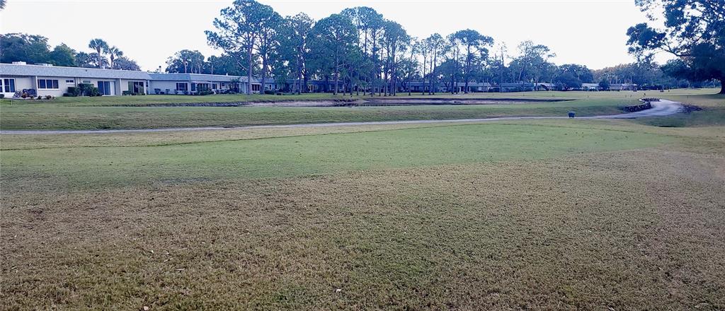 3438 Lori Lane New Port Richey, FL 34655 - Photo 21 of 30